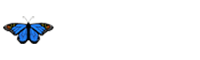 Mavi İpekyol Arnavutköy Özel Eğitim ve Rehabilitasyon Merkezi